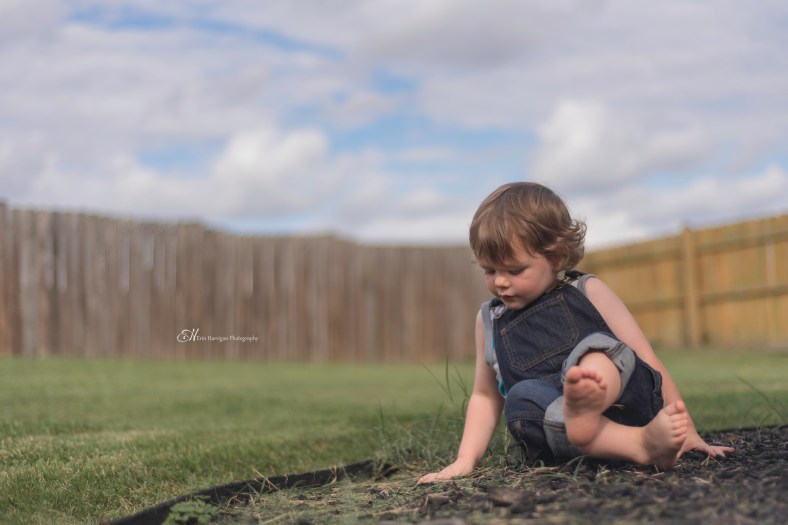 Patrick Apple 7 crop wm