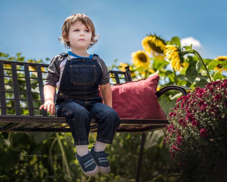 patrick on the bench wm