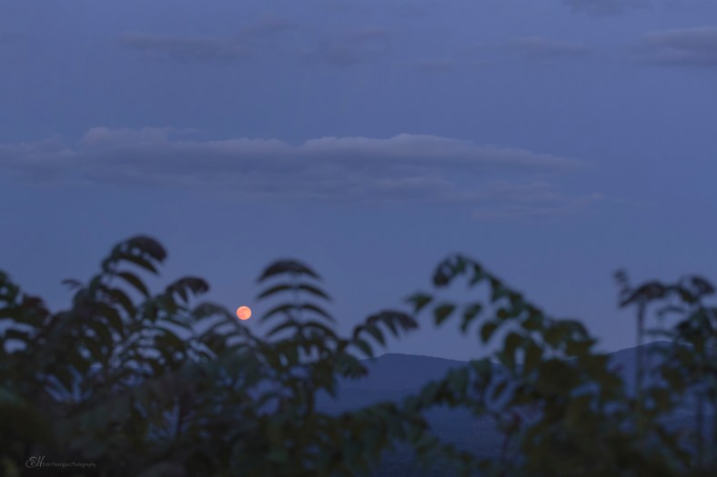 moon mountain trees wm