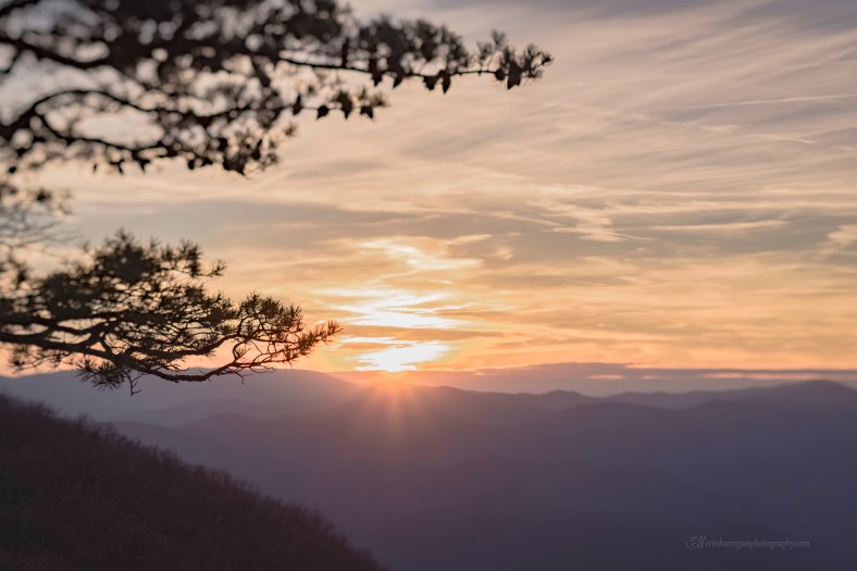 Ravens Roost View3 wm