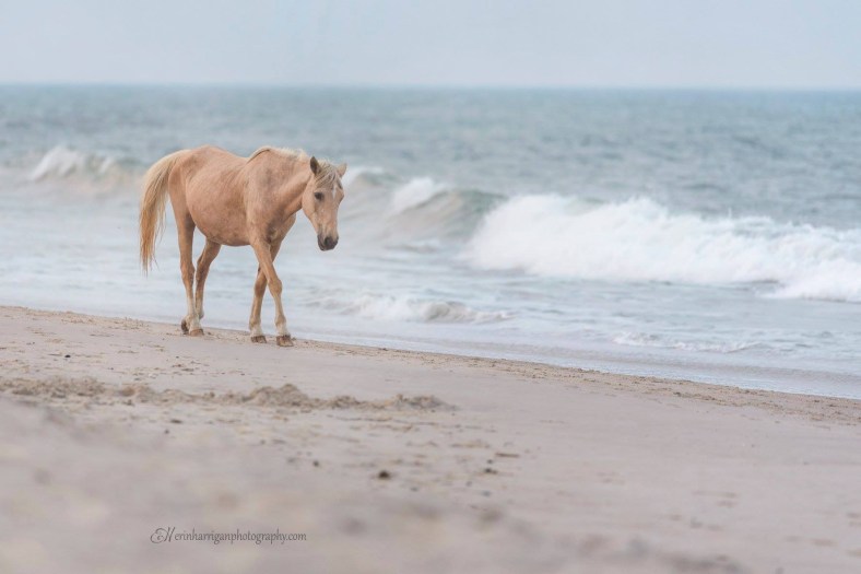 031B9E7B-04F4-4206-A7DD-F104EB97EC5D