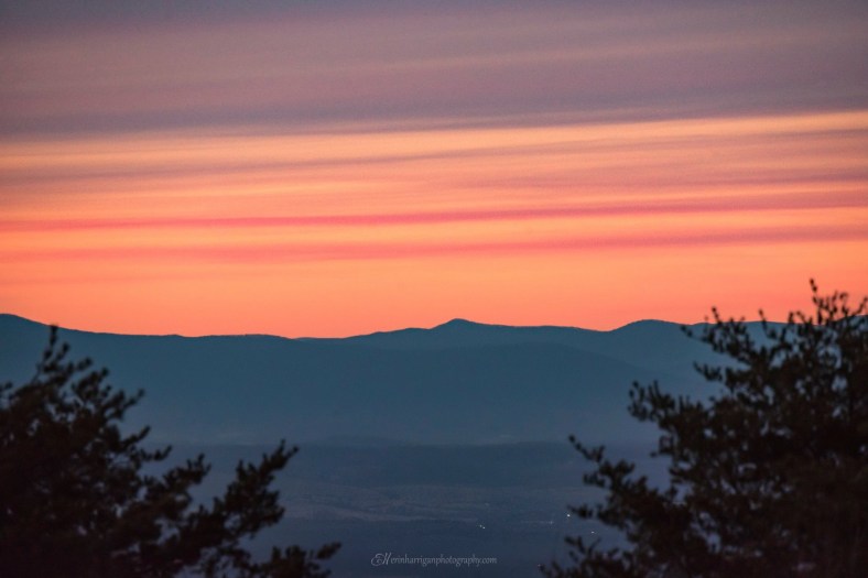 1EB92D25-3EA9-40D7-9D25-D01C0C951AB0