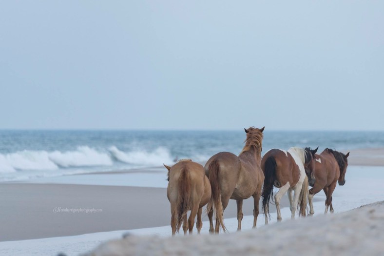 36CD0BD6-AA1F-425F-9FEC-6517005653D4