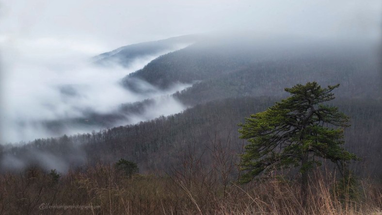 42065756-4514-4752-A65D-2F73862E7A8F