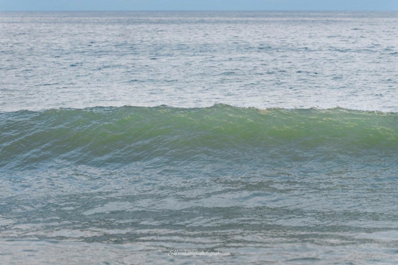 823DA30A-256B-457C-B249-122AAC6BFECA