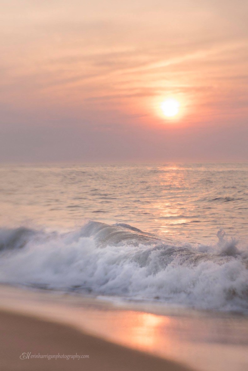 8397D97D-0725-4CEA-8019-A406D54D2A1E