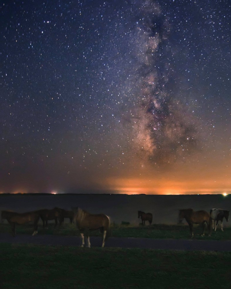 9E0183BD-9EA0-402E-8574-164149B5ECCF