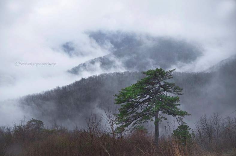 A3499446-3948-4F5E-9759-32F1720D0256