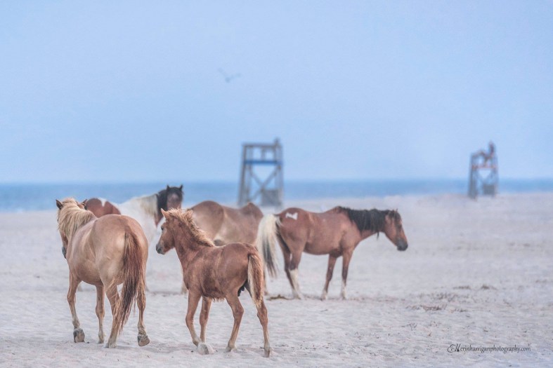 AE03DA80-5A77-44CF-9FDB-D1DF4A7F7960