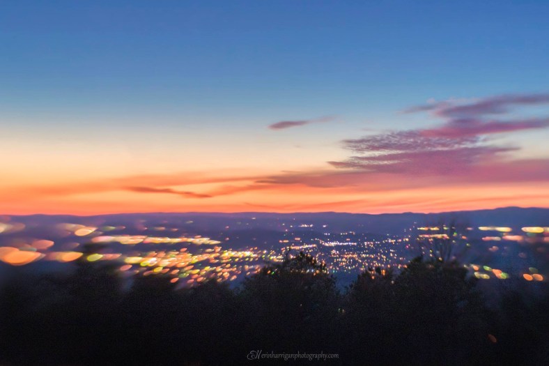 C59D47F8-6E7D-43C5-8A31-FC185BAD23FA