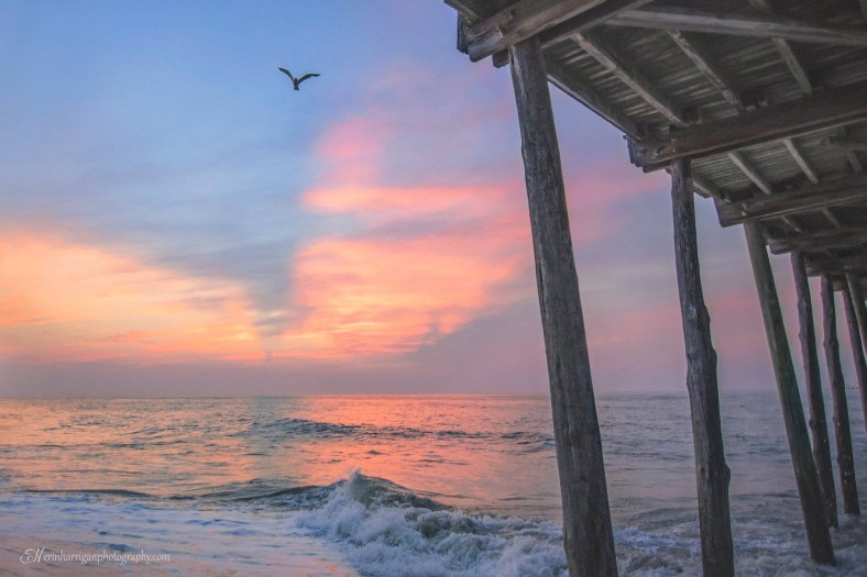 E8A30B21-5924-4CD0-8196-AFE31FAD67EC