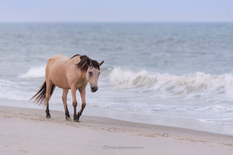 F06C8C2D-56DD-4E2F-9449-20BB1B387CAF