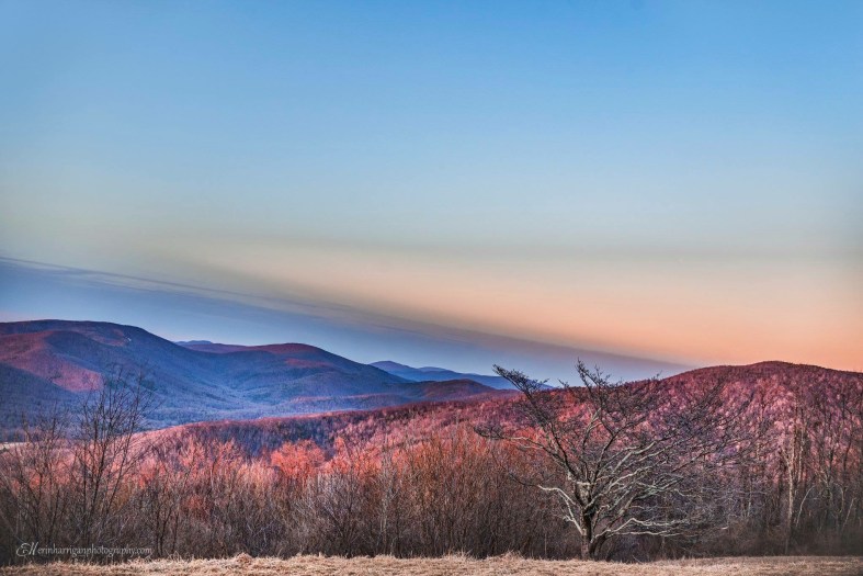 F48F29E3-B923-4357-8C65-0719E688CB2F